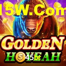 45br App Interface